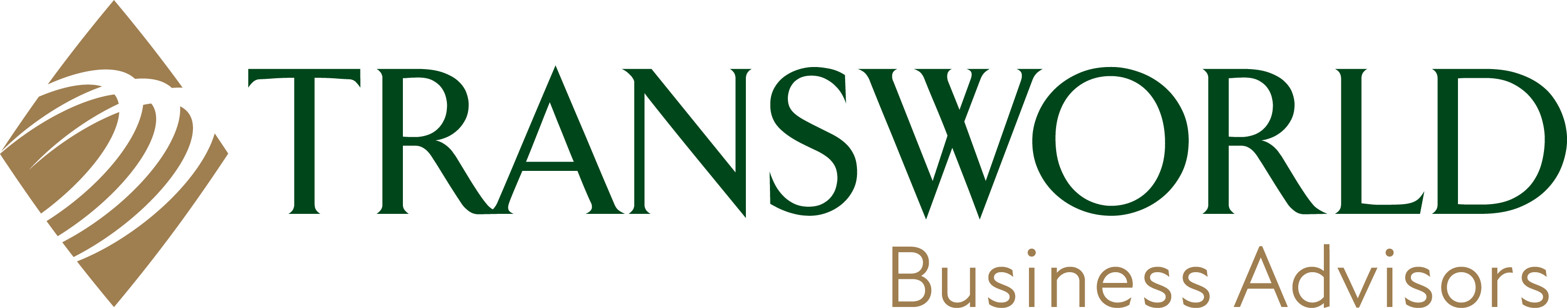 Logo of Transworld Business Advisors with text in green and gold, featuring a stylized globe on the left.