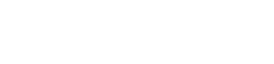 Accurate Franchising